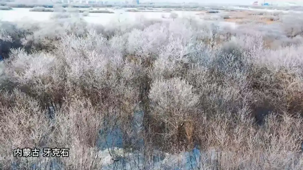 雾凇岭