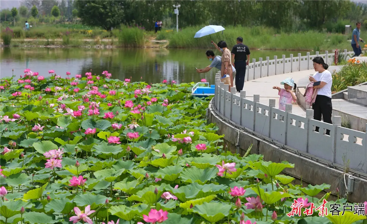 白银区水川湿地公园