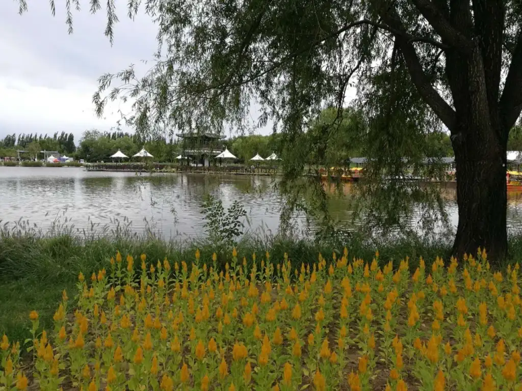 白银水川黄河湿地公园