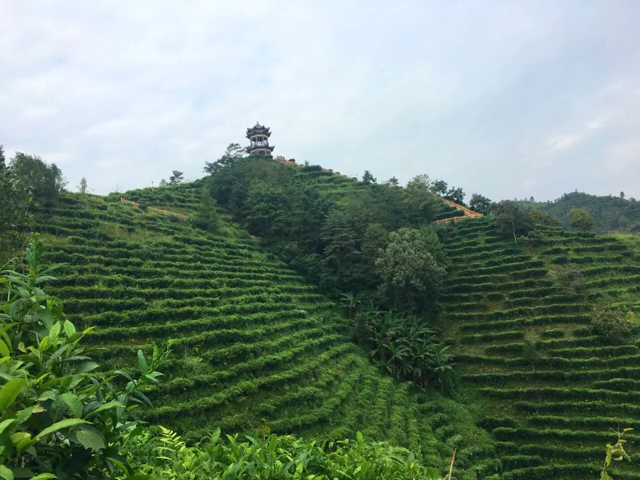 凌云茶山金字塔