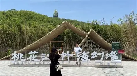 桃花江竹海