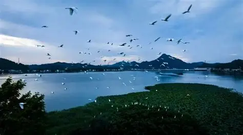 湖南桃江羞女湖国家湿地公园