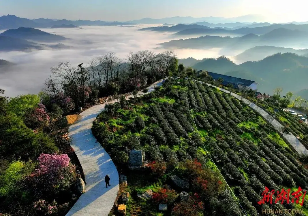 百花寨景区