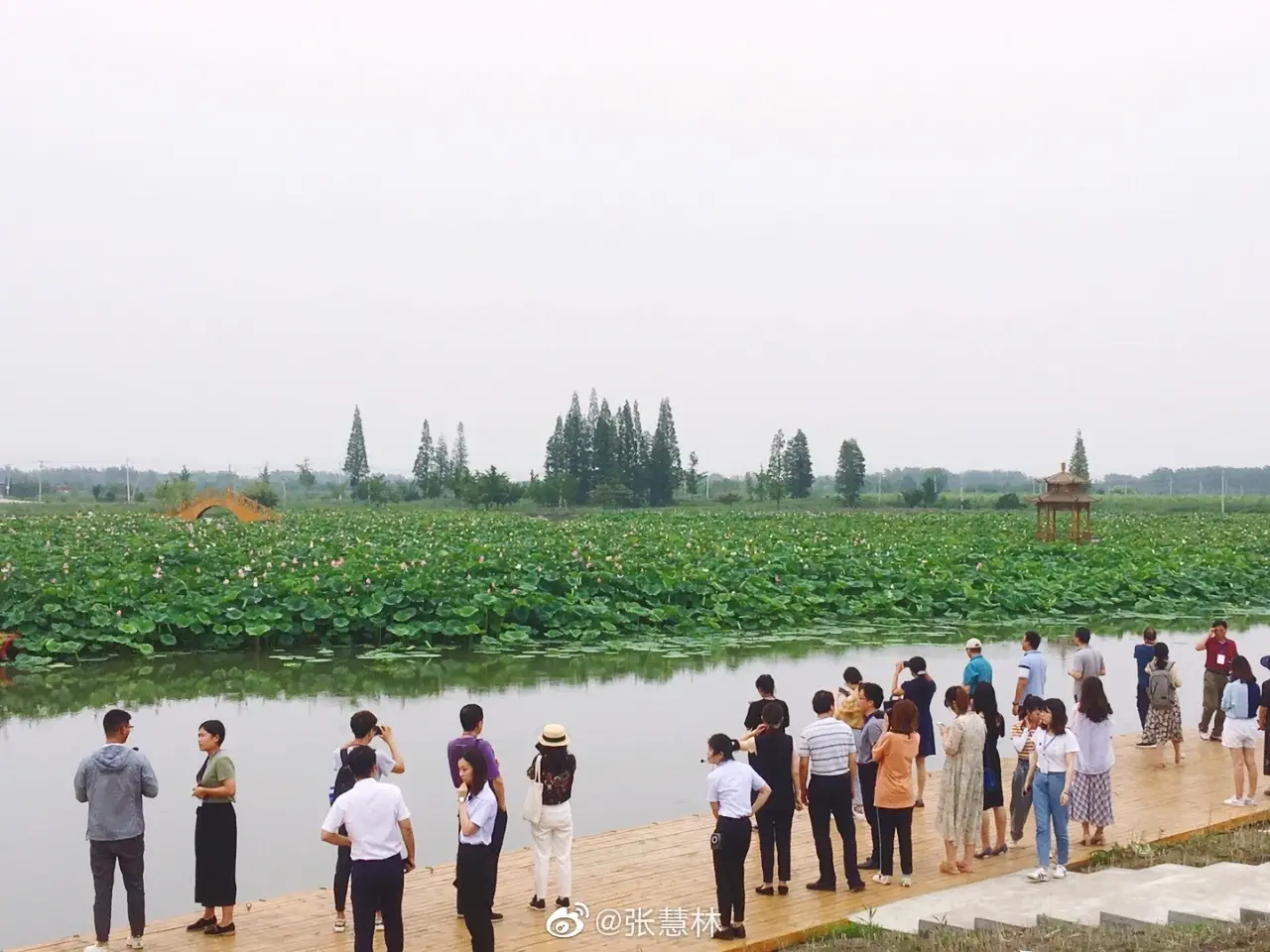 阜宁县马家荡旅游景区