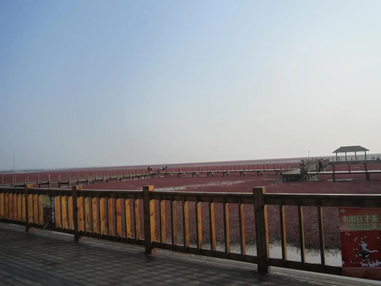 红海滩国家风景廊道