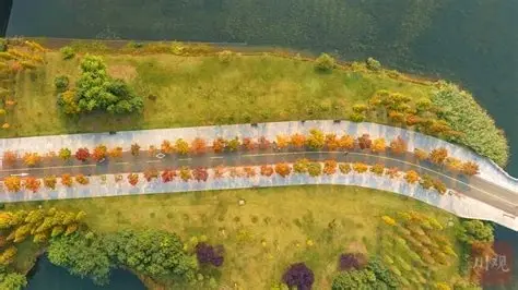 东坡城市湿地公园