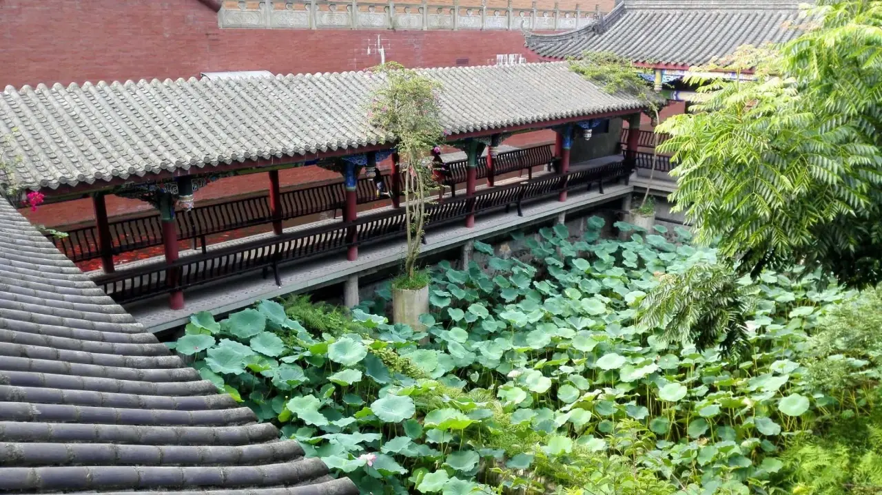青神江湾神木园