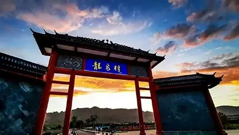 大武口区龙泉村