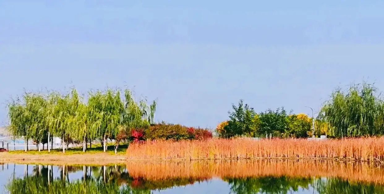 龙泉湖湿地