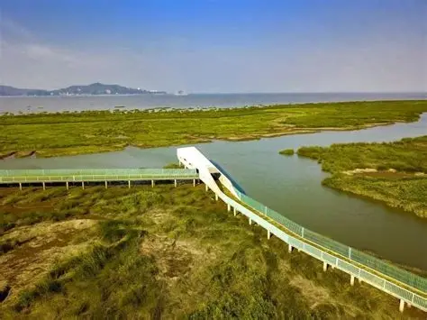 闽江口湿地