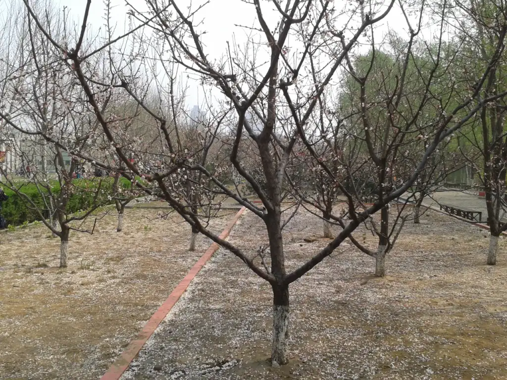 秦皇岛植物园