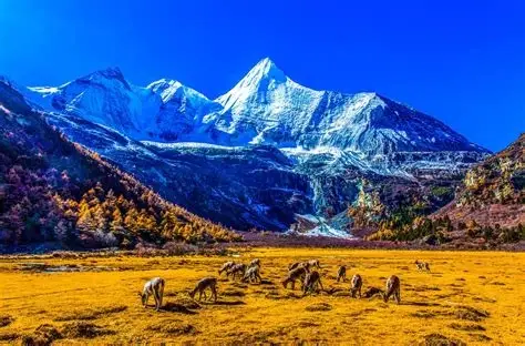 海子山观景台