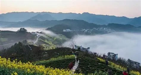 梅干岭观景台