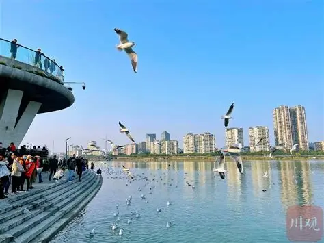 三江半岛