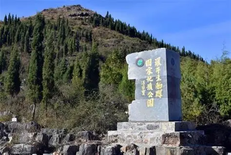 罗平生物群国家地质公园