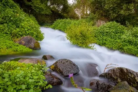 黑鱼河