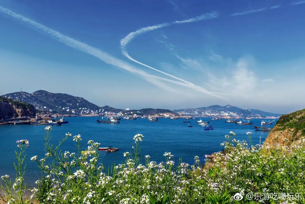 枸杞岛