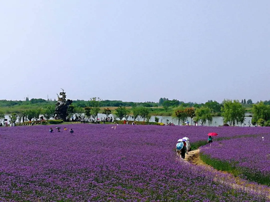 大浦景区