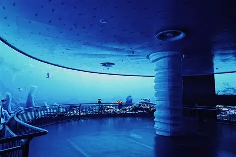 芜湖大白鲸海洋公园