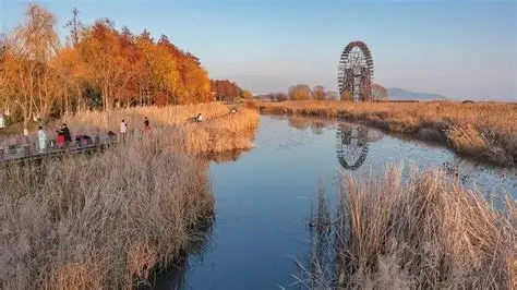 太湖湿地公园
