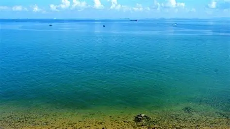 放鸡岛