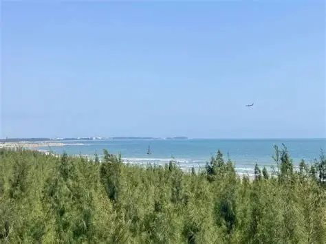 沙尾海滩