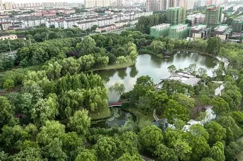 天鹅湖公园