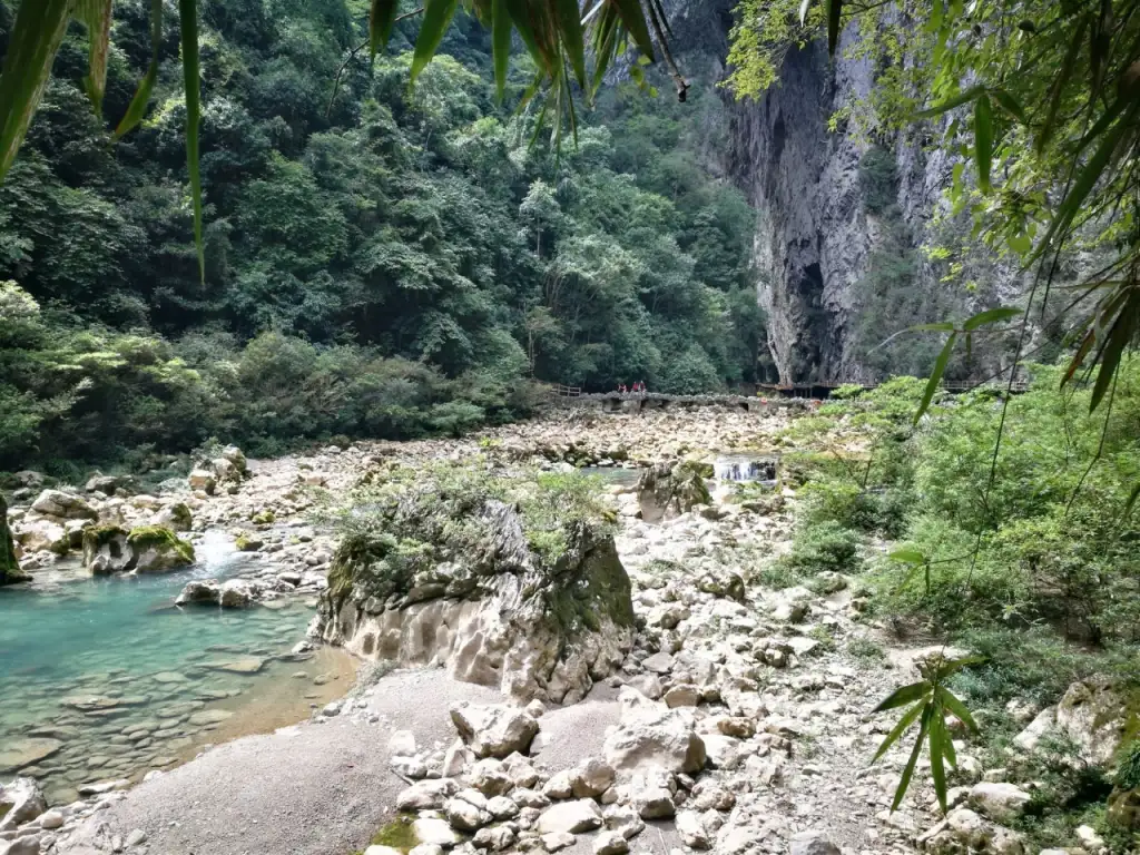 茂兰国家级自然保护区