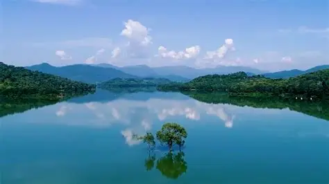 东圳水库