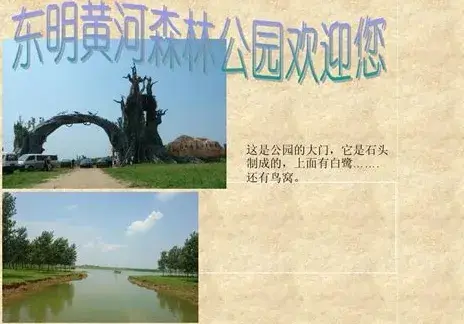 东明黄河森林公园