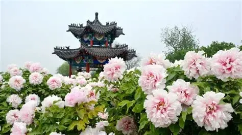 古今园
