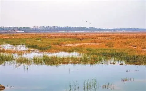 浮龙湖生态旅游区