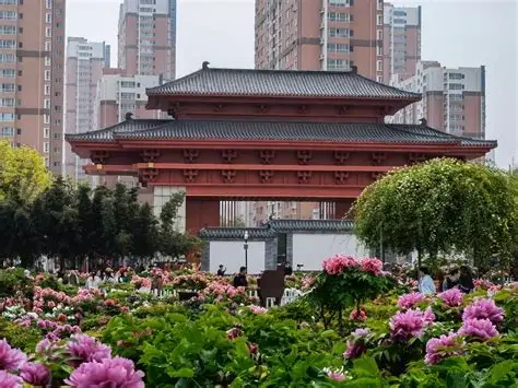 百花园