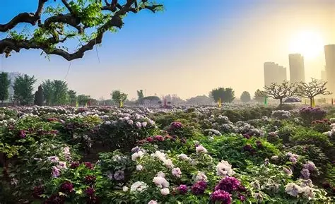 菏泽动植物园