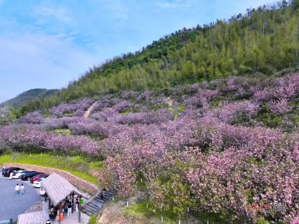 杨岐山