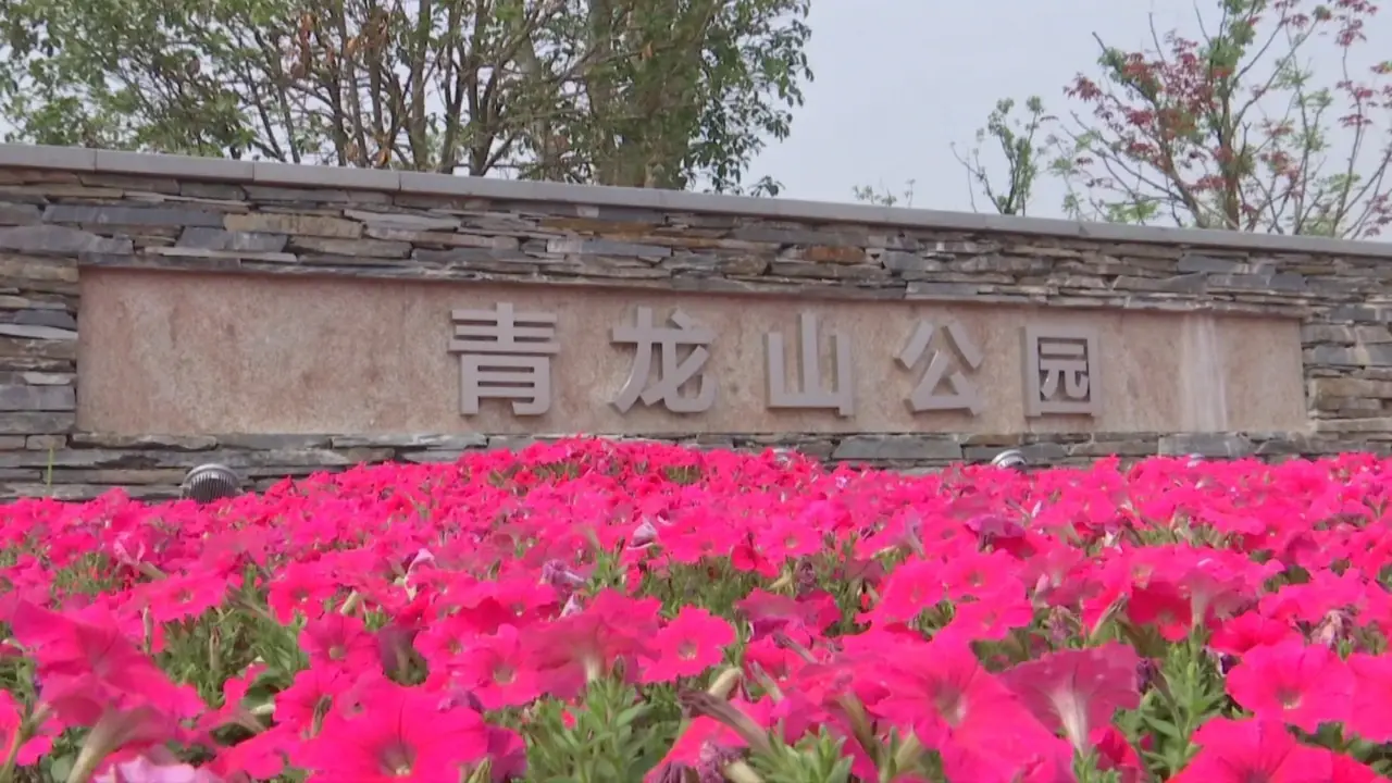 青龙山公园