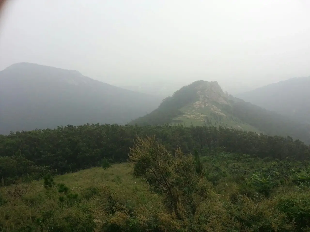 首山国家森林公园