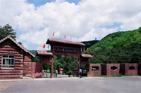 九龙山国家森林公园