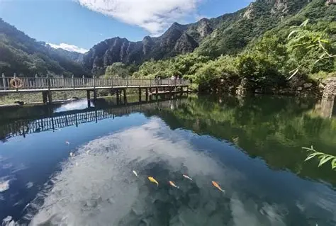 梨木台