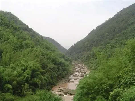 白蛇谷自然风景区