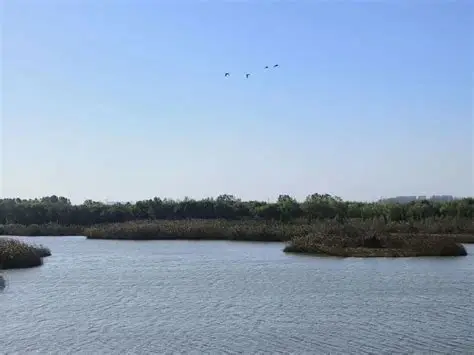 三汊河国家湿地公园