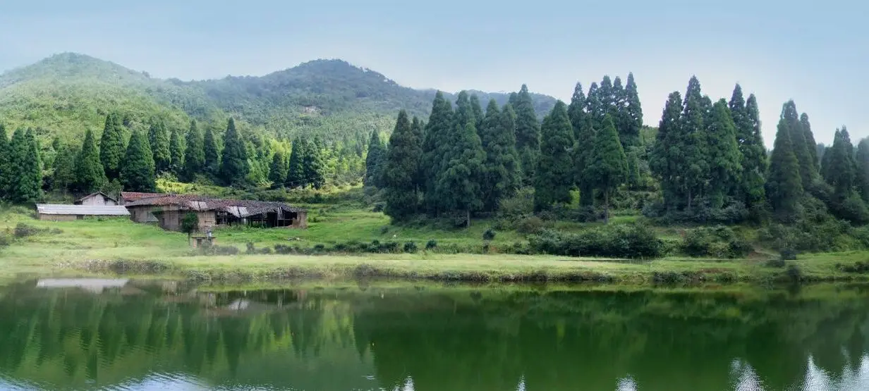 武家山森林公园