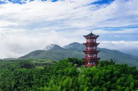 蔡伦竹海