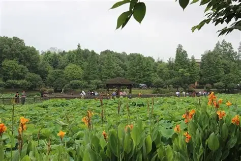 衡阳植物园