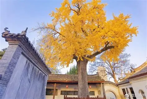 米公祠