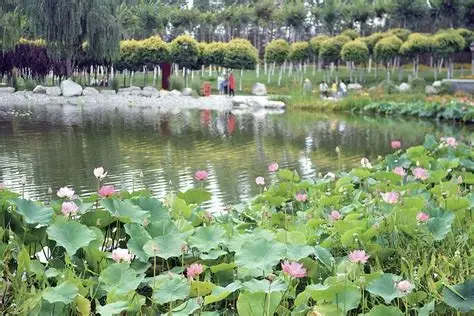 北山美丽园湿地公园