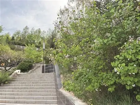 西宁植物园