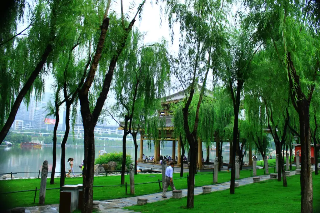 曲江池遗址公园