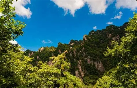 王顺山国家森林公园