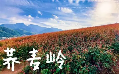 蓝田荞麦岭